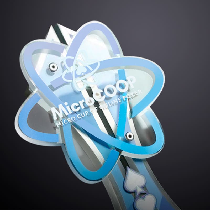 Результаты третьего этапа MicroCOOP
